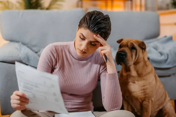 Your Age Has a Story – Find It With a Chronological Age Calculator 1 How to calculate dog age in human years